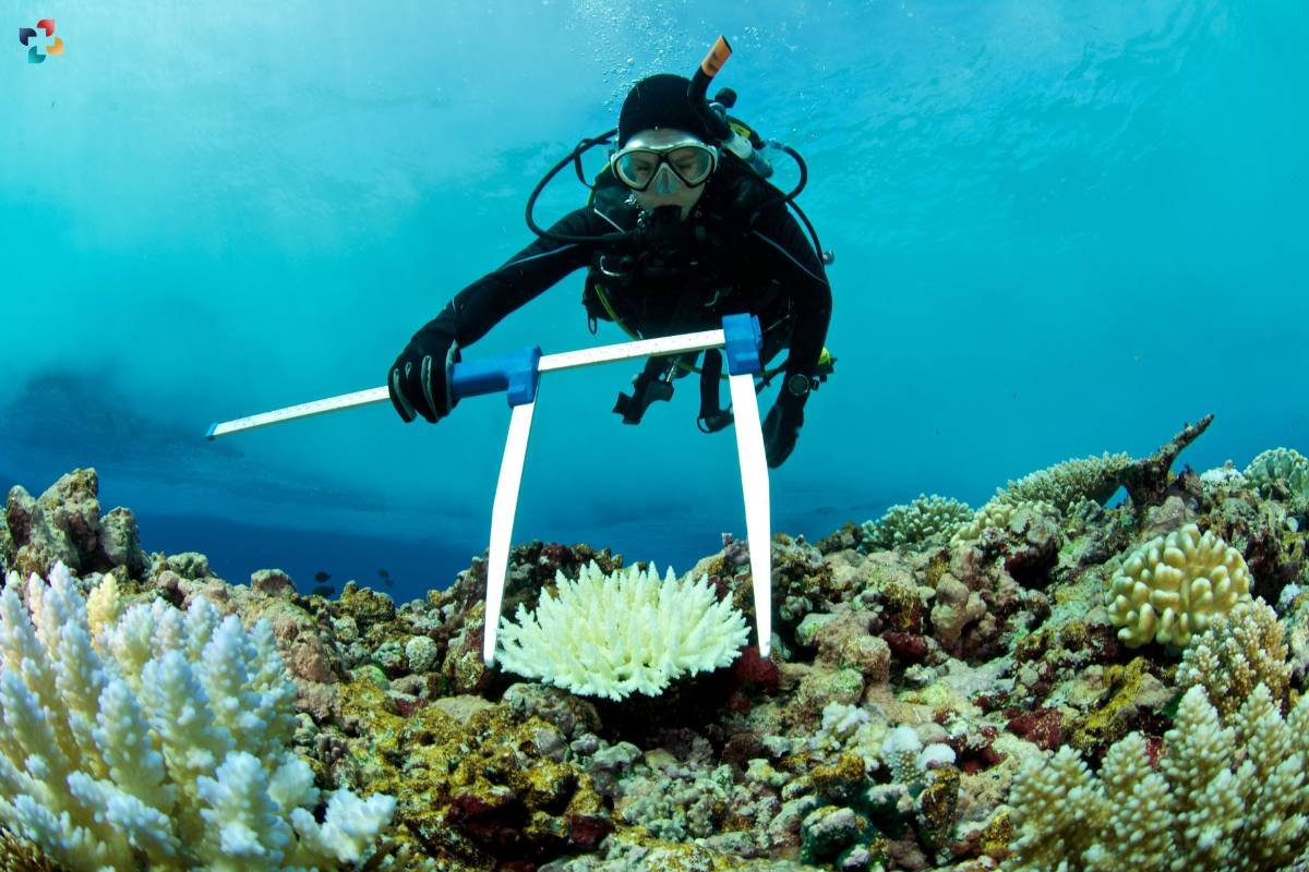 1-A-Guide-to-Building-a-Rewarding-Career-in-Marine-Biology-3396655827