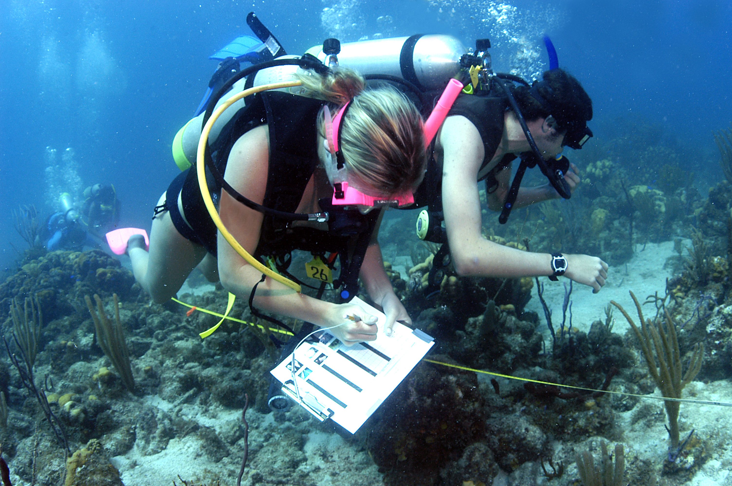 marine-biology-program-3496837303